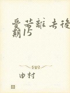 爱若离去后会无期15封面