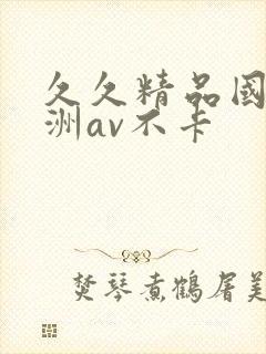 久久精品国产亚洲av不卡