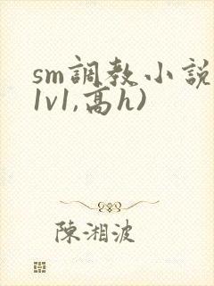 sm调教小说(1v1,高h)封面