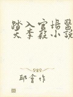 踏入官场医道问天李毅小说阅读