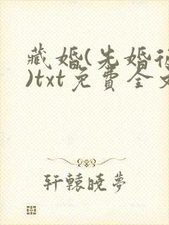 藏婚(先婚后爱)txt免费全文阅读