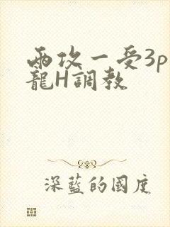 两攻一受3p双龙H调教