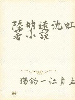 陆明远沈虹芸原著小说