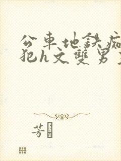 公车地铁痴汉侵犯h文双男主在线阅读