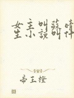 女主叫苏晴的重生小说叫什么名字