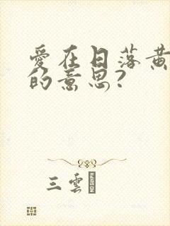 爱在日落黄昏时的意思?封面