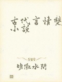古代言情双男主小说封面