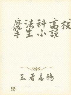 魔法科高校的劣等生小说