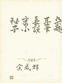 秘密长耳朵的兔子小说笔趣阁