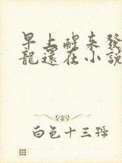 早上醒来发现巨龙还在小说