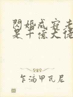 闪婚成宠老公竟是千亿大佬免费阅读笔趣阁