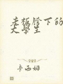 老板胯下的秘书大学生封面