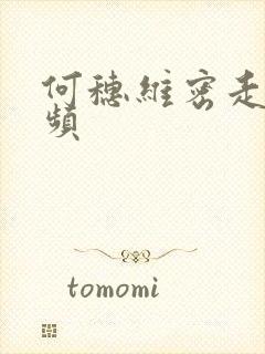 何穗维密走秀视频