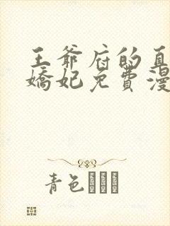 王爷府的直男小娇妃免费漫画