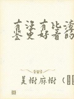 有没有比渣女图鉴更好看的封面