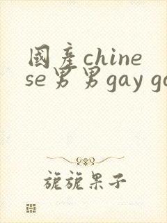 国产chinese男男gay gay网站