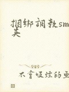 捆绑调教sm乳夹