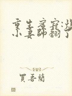 重生蜜宠:爆甜小妻帅翻了