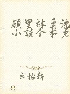 顾里林柔沈峰的小说全本免费阅读