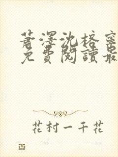 萧泽沈榕宁全文免费阅读最新章节封面