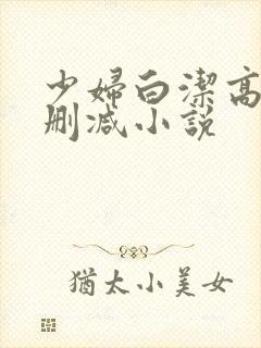 少妇白洁高义无删减小说