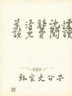 叶清辞沈怀瑾小说免费阅读最新章节