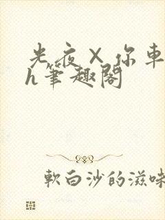 光夜×你车肉高h笔趣阁封面