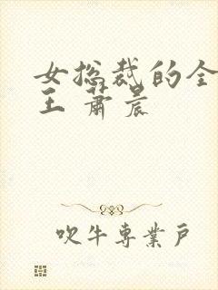 女总裁的全能兵王 萧晨