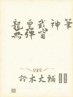 龙皇武神笔趣阁无弹窗