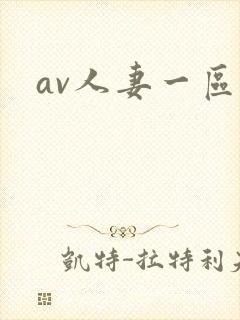 av人妻一区