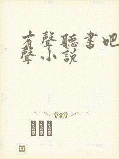 有声听书吧 有声小说