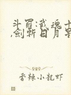 斗罗:武魂十凶,剑斩日月星辰