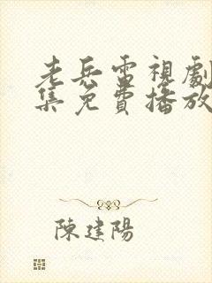 老兵电视剧66集免费播放下载