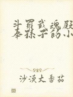 斗罗武魂殿二供奉孙子的小说