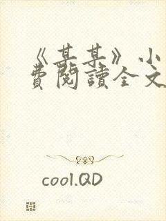 《某某》小说免费阅读全文封面