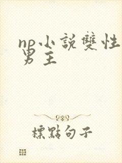 np小说双性双男主