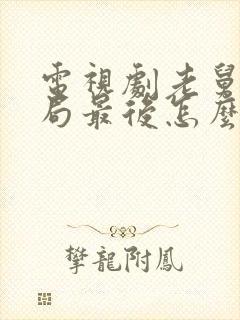 电视剧老舅大结局最后怎么样了封面