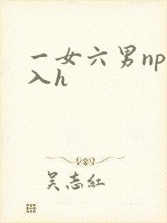 一女六男np慎入h
