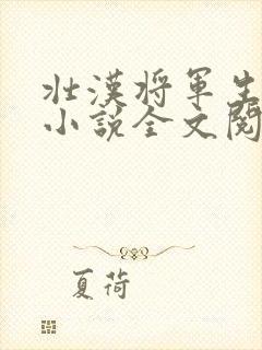 壮汉将军生娃记小说全文阅读封面