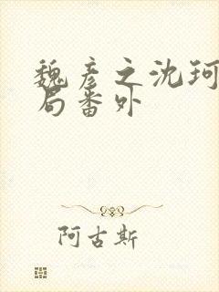 魏彦之沈珂大结局番外