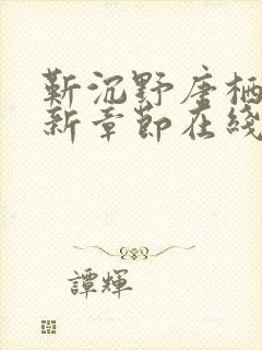 靳沉野唐栖雾最新章节在线阅读
