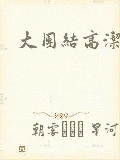 大团结高洁封面