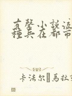 有声小说流氓特种兵在都市小说