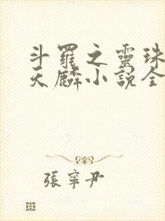 斗罗之灵珠神剑天麟小说全文免费阅读