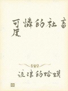 可怜的社畜 东度