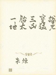 一胎三宝总裁爹地太凶猛免费阅读