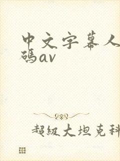 中文字幕人妻有码av