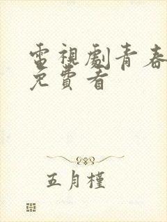 电视剧青春无季免费看封面