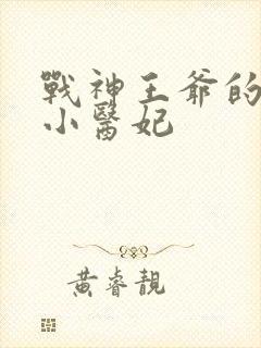 战神王爷的天才小医妃