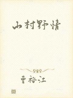 山村野情封面